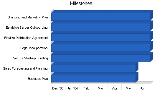 Industry-specific software business plan, strategy and implementation summary chart image