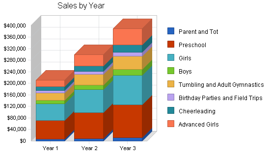 Gymnastics instruction business plan, strategy and implementation summary chart image