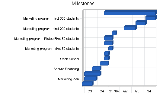 Martial arts school business plan, strategy and implementation summary chart image