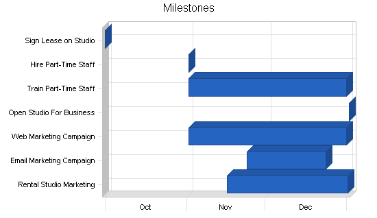 Commercial photography business plan, strategy and implementation summary chart image