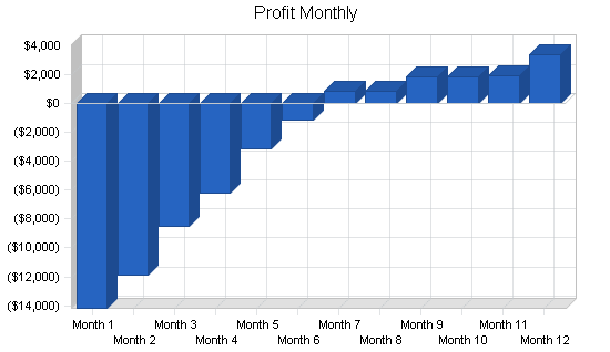 Hair removal business plan, financial plan chart image