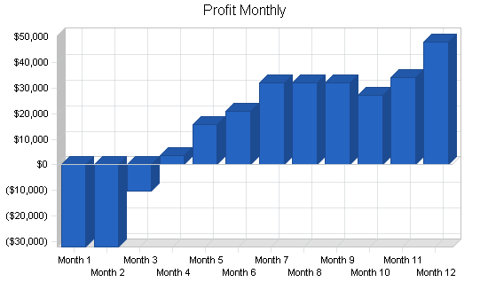 Computers reseller business plan, financial plan chart image