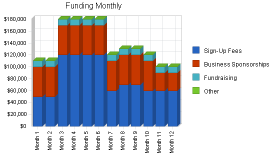 Youth sports nonprofit business plan, strategy and implementation summary chart image