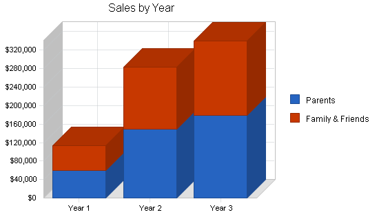 Maternity clothing business plan, strategy and implementation summary chart image