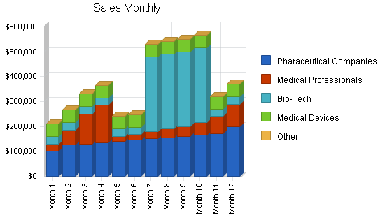 Medical internet marketing business plan, strategy and implementation summary chart image