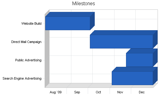 Carpet and upholstery cleaning services, strategy and implementation summary chart image