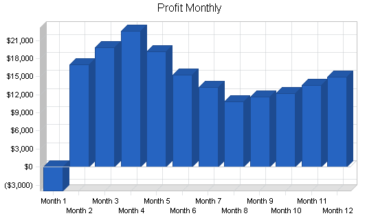 Tanning salon business plan, financial plan chart image