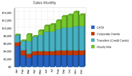 Limousine taxi business plan, strategy and implementation summary chart image