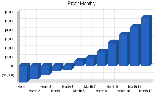 International travel agency business plan, financial plan chart image