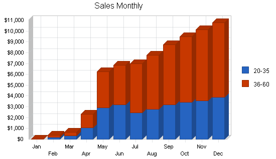 Dating matchmaking service business plan, strategy and implementation summary chart image