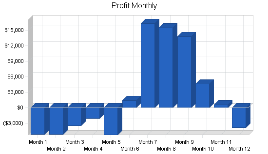 Fishing supplies and fly shop business plan, financial plan chart image