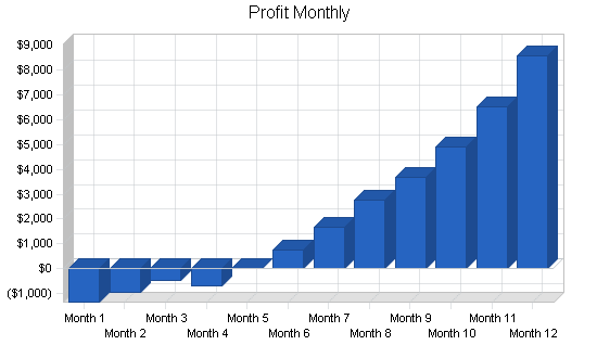 Personal insurance agent business plan, financial plan chart image