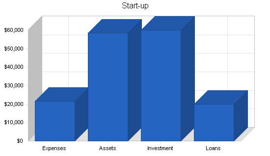 Chiropractic business plan, company summary chart image