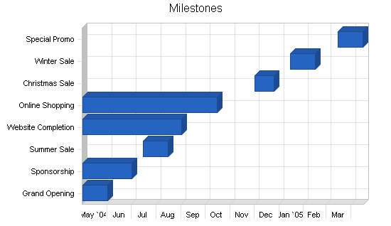 Skateboard gear retail business plan, strategy and implementation summary chart image