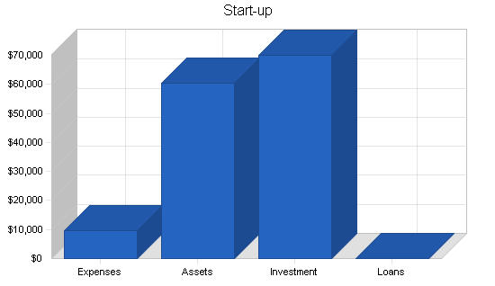 Internet isp wireless business plan, company summary chart image