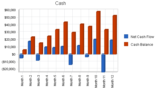 Software sales business plan, financial plan chart image