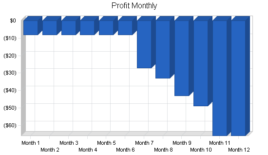 Regional airline business plan, financial plan chart image