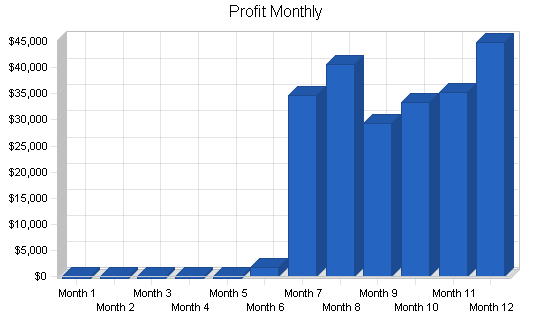 Steak restaurant business plan, financial plan chart image