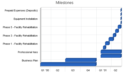 Music theater business plan, strategy and implementation summary chart image