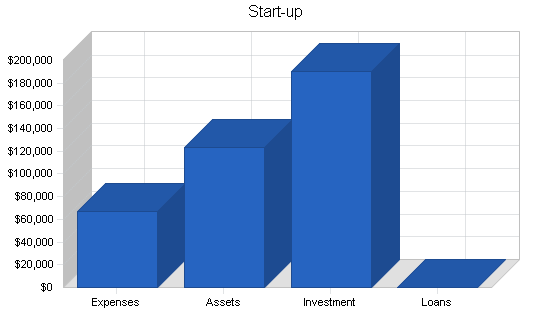 Skate park skiing business plan, company summary chart image