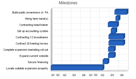 Horse training business plan, strategy and implementation summary chart image