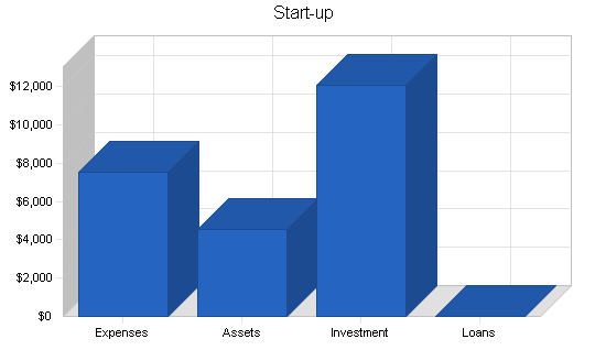 Outsourced computer support business plan, company summary chart image