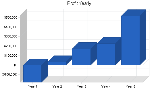 Holding company business plan, financial plan chart image