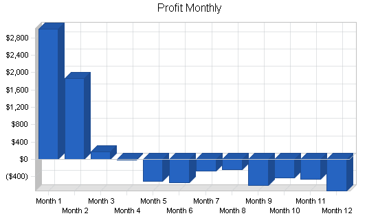 Gifts and collectibles retail shop business plan, financial plan chart image