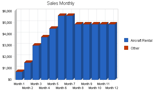 Aircraft rental instruction business plan, strategy and implementation summary chart image