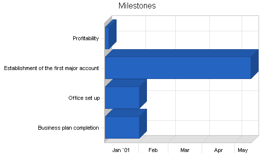 Graphic design business plan, strategy and implementation summary chart image