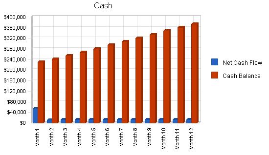 Auto repair and car wash business plan, financial plan chart image