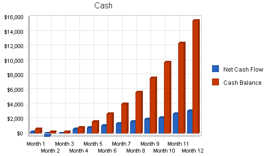 Computer consulting business plan, financial plan chart image