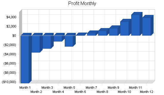 Womens shoe store business plan, financial plan chart image