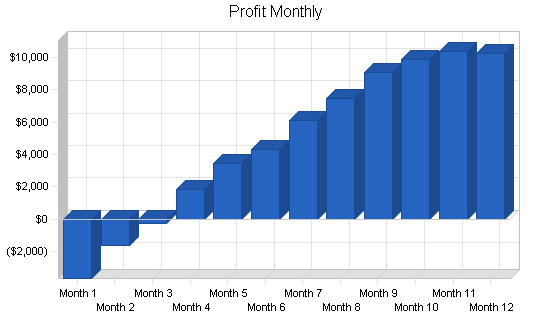 Dry cleaning home delivery business plan, financial plan chart image