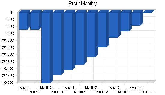 Mlm cleaning products business plan, financial plan chart image