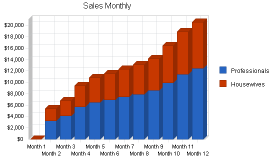 Womens shoe store business plan, strategy and implementation summary chart image