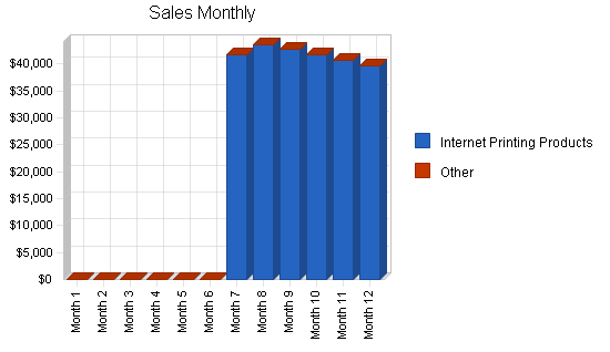 Print shop website business plan, strategy and implementation summary chart image