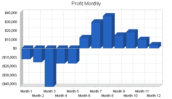 Paintball facility business plan, financial plan chart image