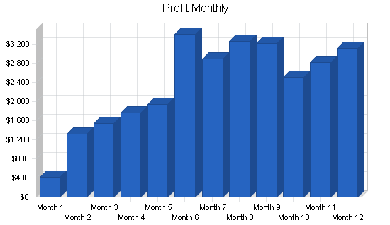 Wedding consultant business plan, financial plan chart image