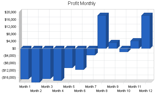 Advertising consulting business plan, financial plan chart image