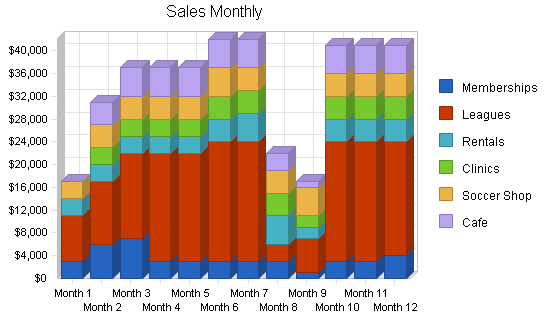 Indoor soccer facility business plan, strategy and implementation summary chart image