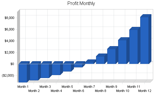 Family chiropractic business plan, financial plan chart image