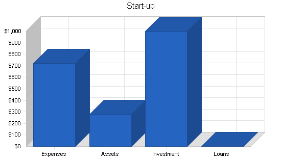 Soho computer consulting business plan, company summary chart image