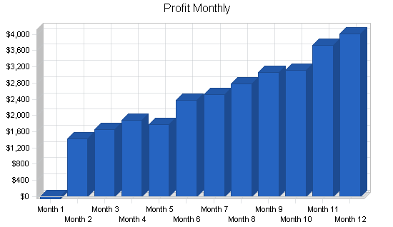 Gymnastics instruction business plan, financial plan chart image