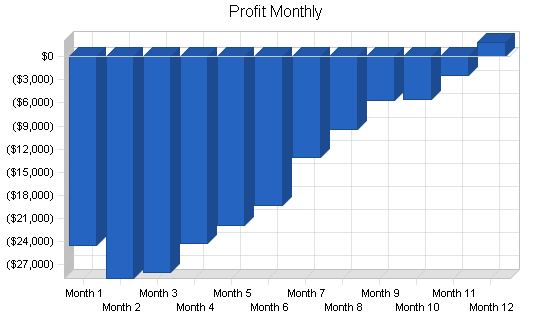 Holding company business plan, financial plan chart image