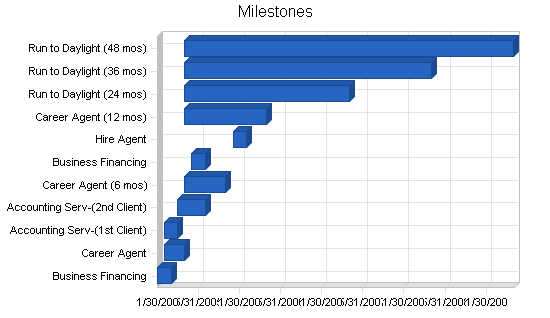 Insurance agency business plan, strategy and implementation summary chart image