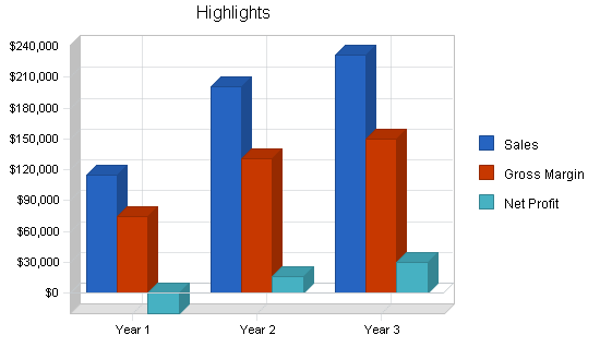 Independent video store business plan, executive summary chart image