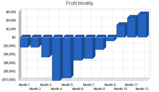 Fitness equipment business plan, financial plan chart image