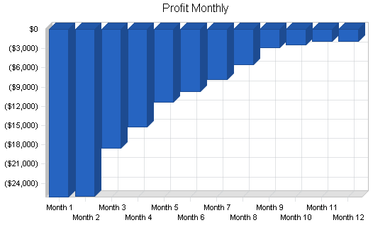 Medical scanning lab business plan, financial plan chart image