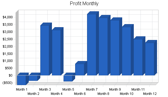 Pet photography business plan, financial plan chart image